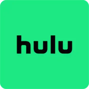 Home 40 Hulu logo in black on a light green background.
